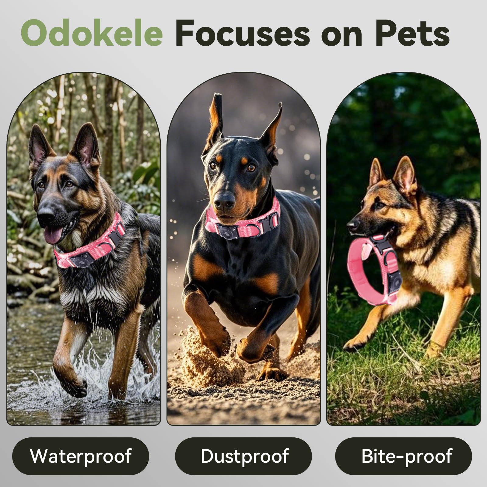 Odokele heavy-duty metal buckle on dog collar withstands strong pulls