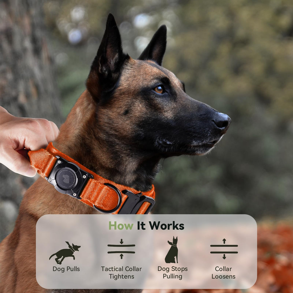 Odokele orange collar size L for medium to large dogs on the go.