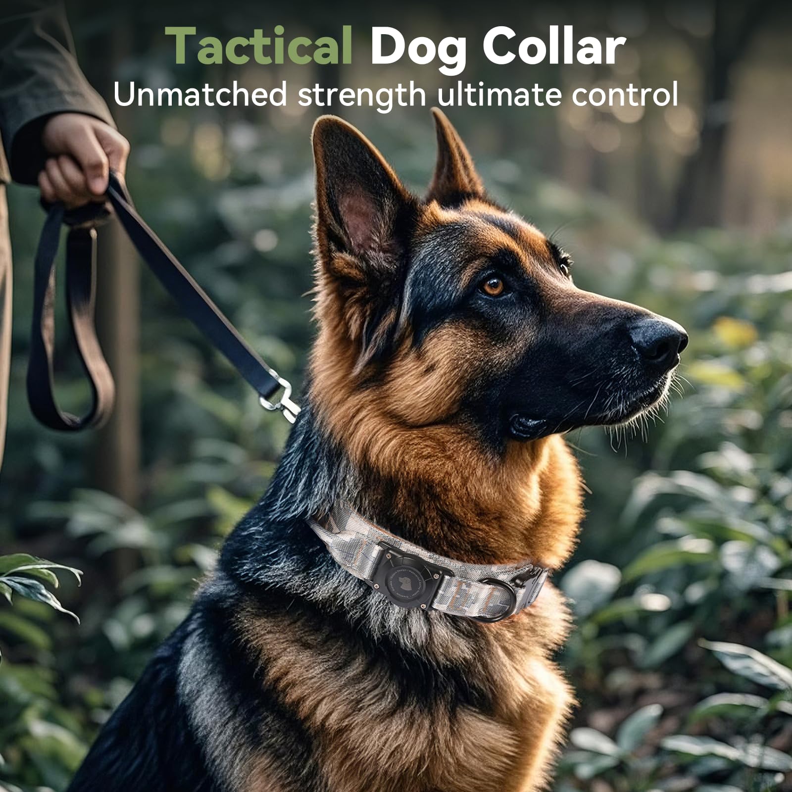 Odokele padded nylon collar offers comfortable wear on long hikes and daily adventures.