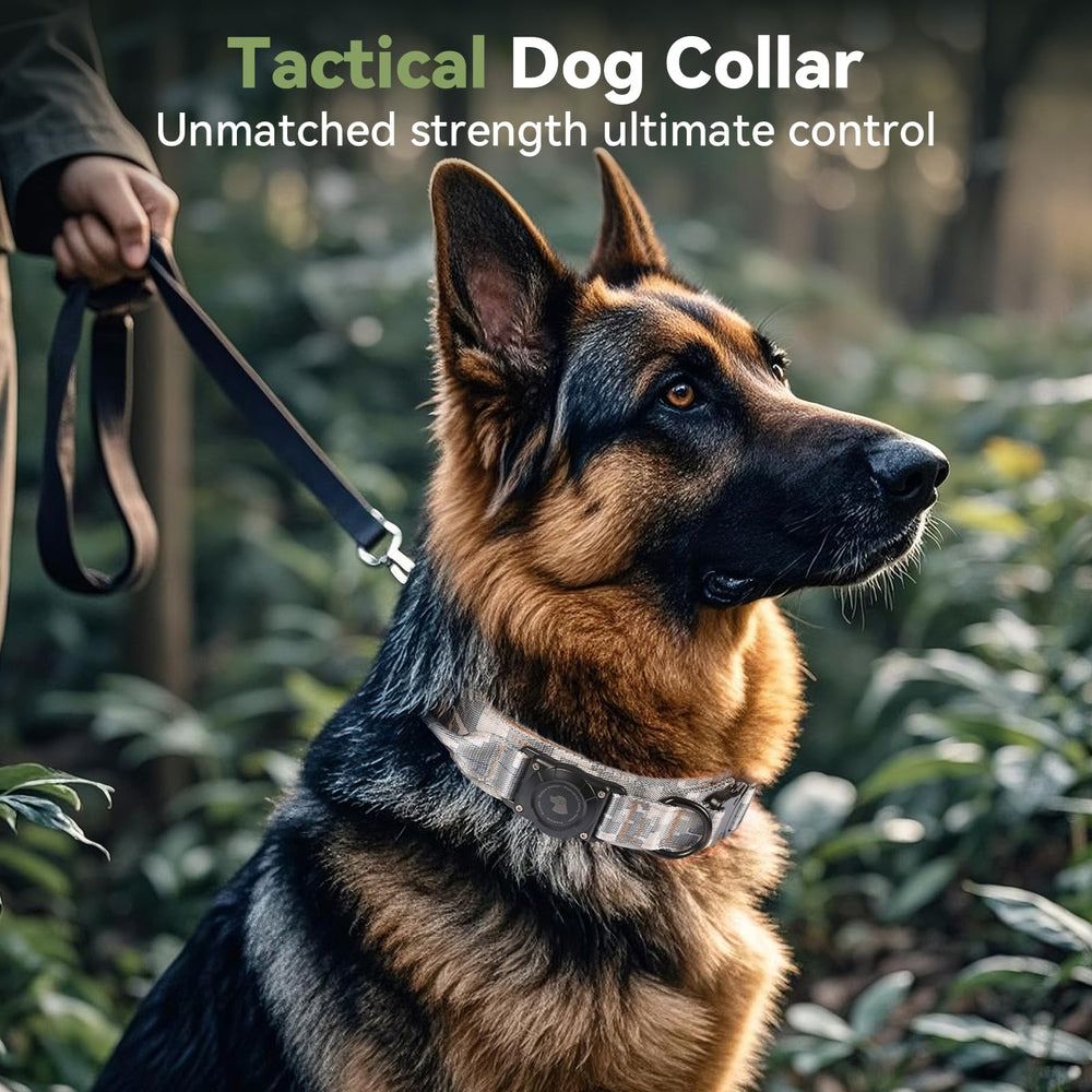 Odokele padded nylon collar offers comfortable wear on long hikes and daily adventures.