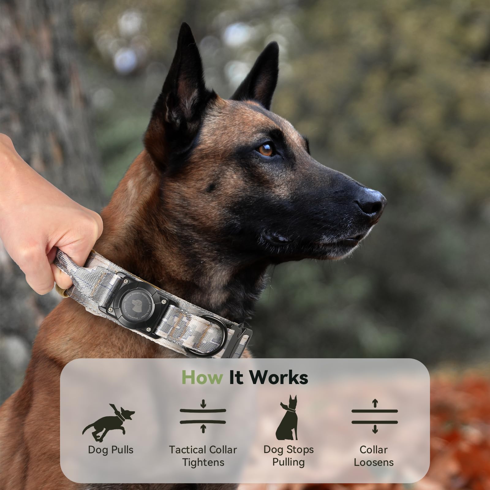 Odokele adjustable M-XL collar fits medium to large breeds for versatile use.