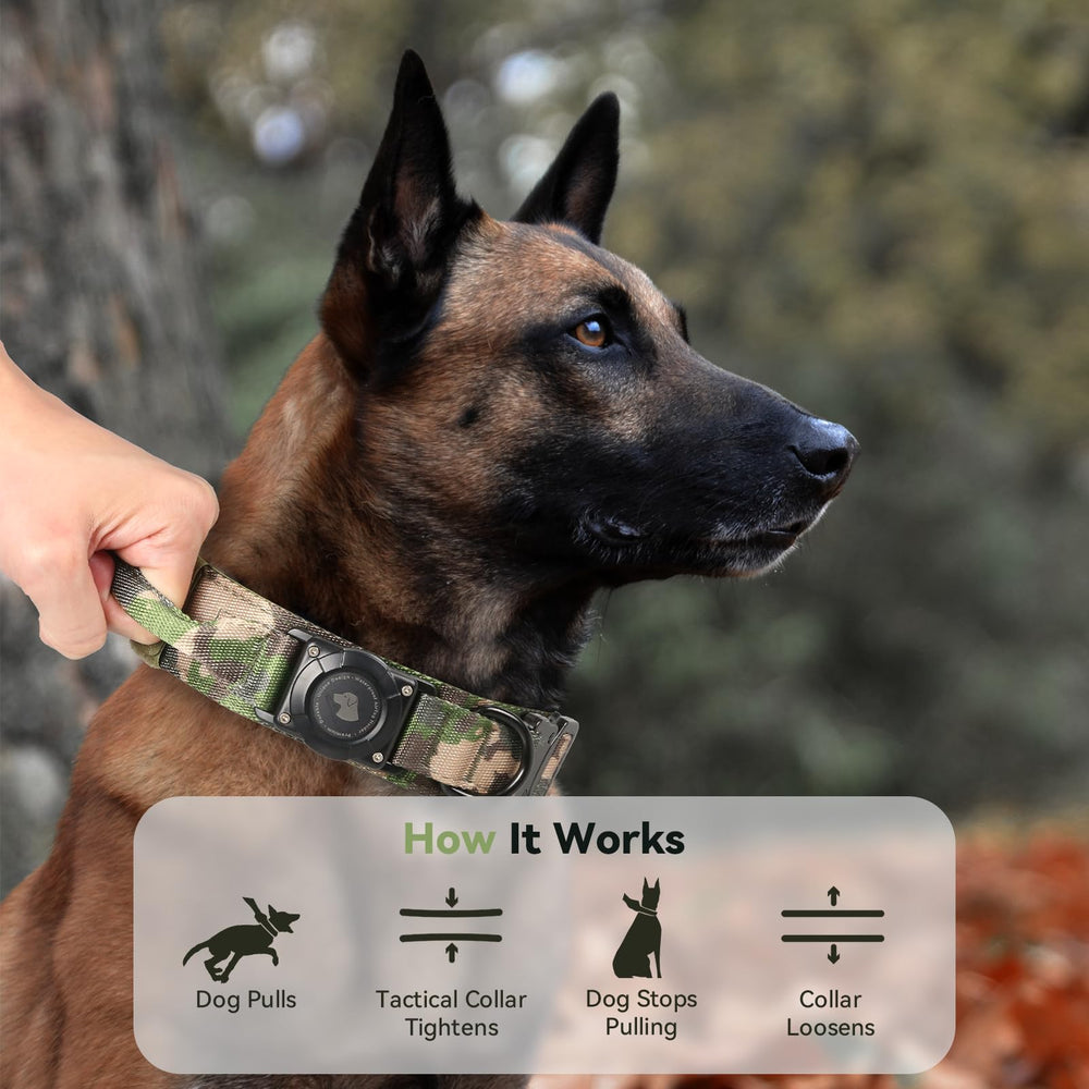 Odokele size options M-L-XL for medium to large dogs