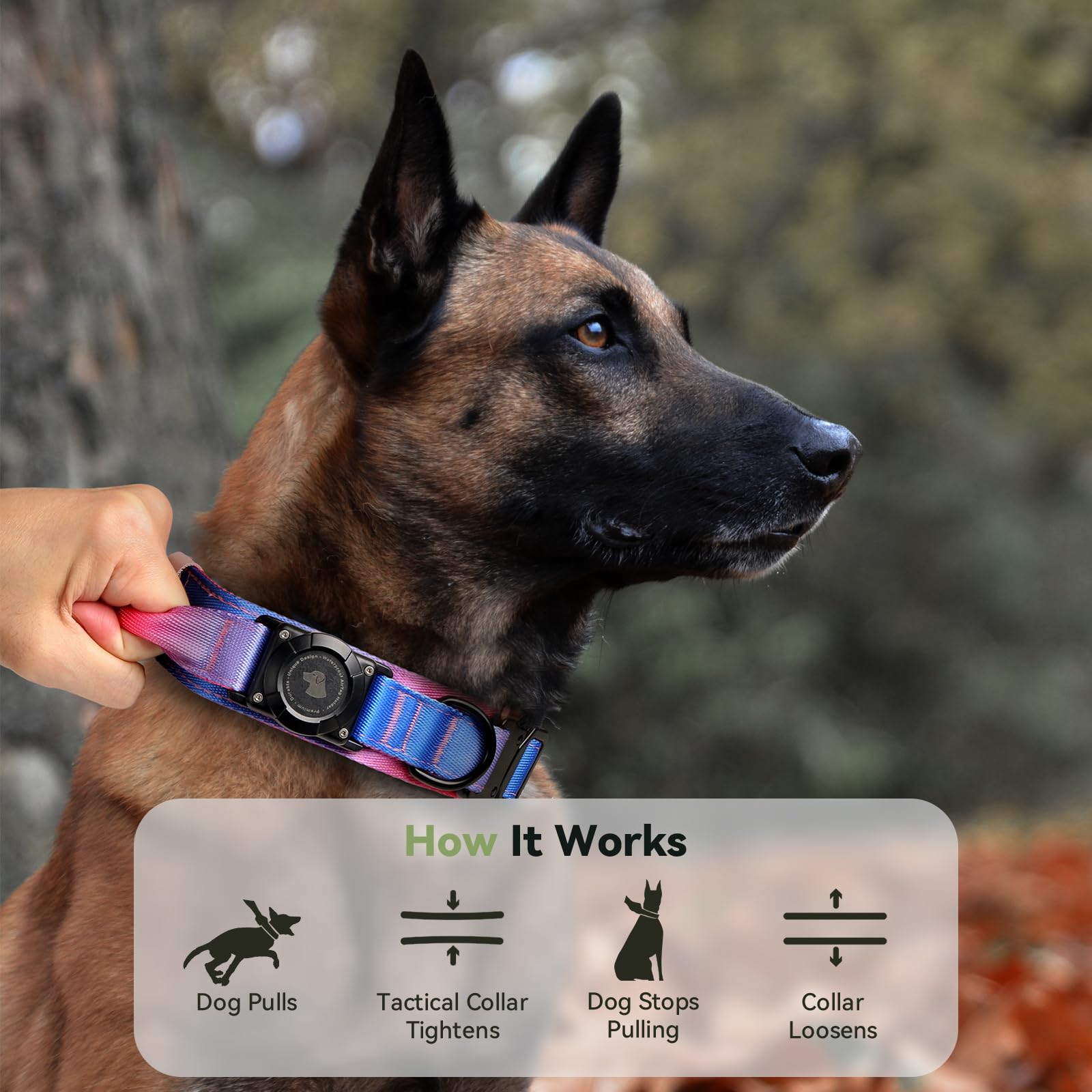 Odokele size options help find the right fit for medium to large dogs
