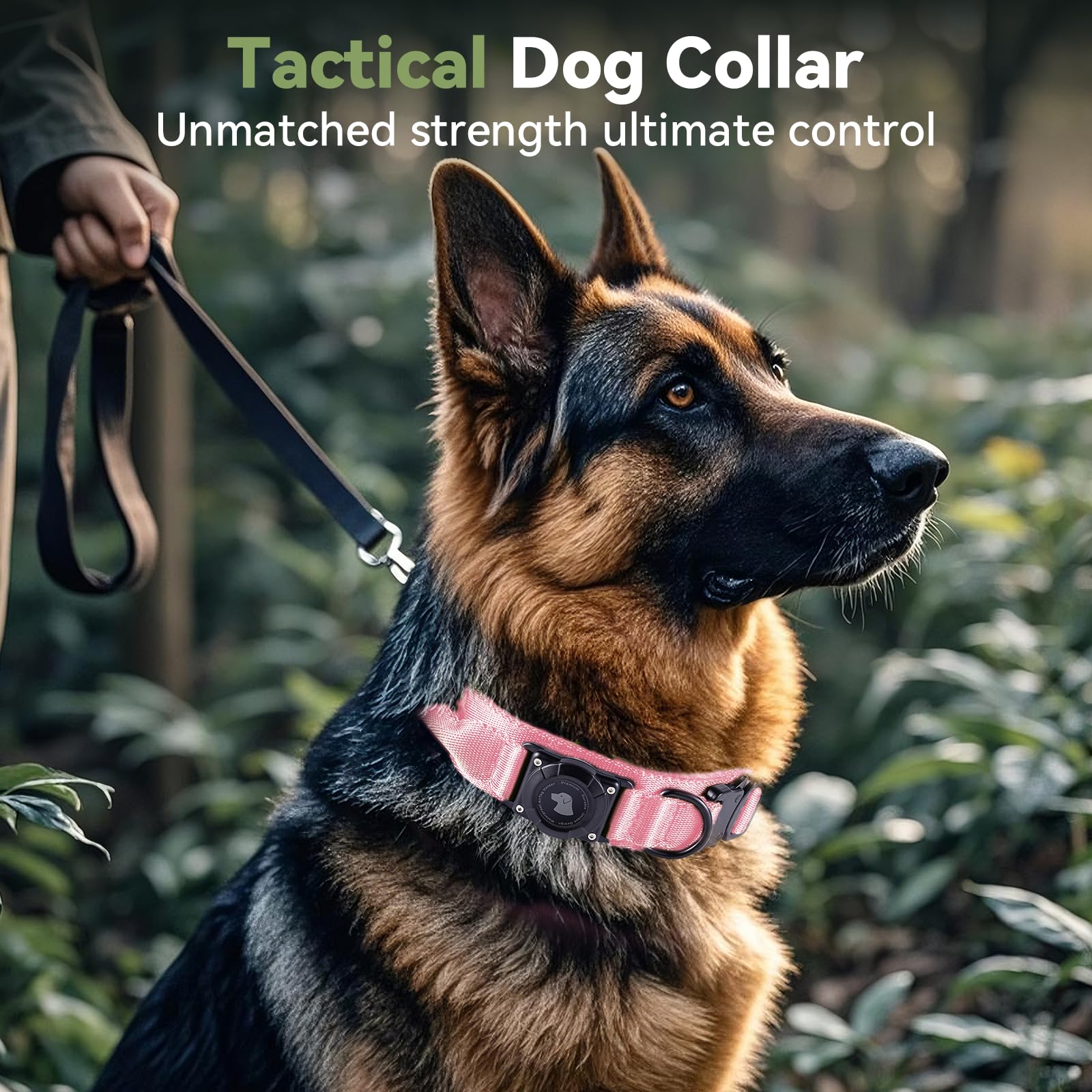 Odokele tactical dog collar with soft, breathable lining for daily wear