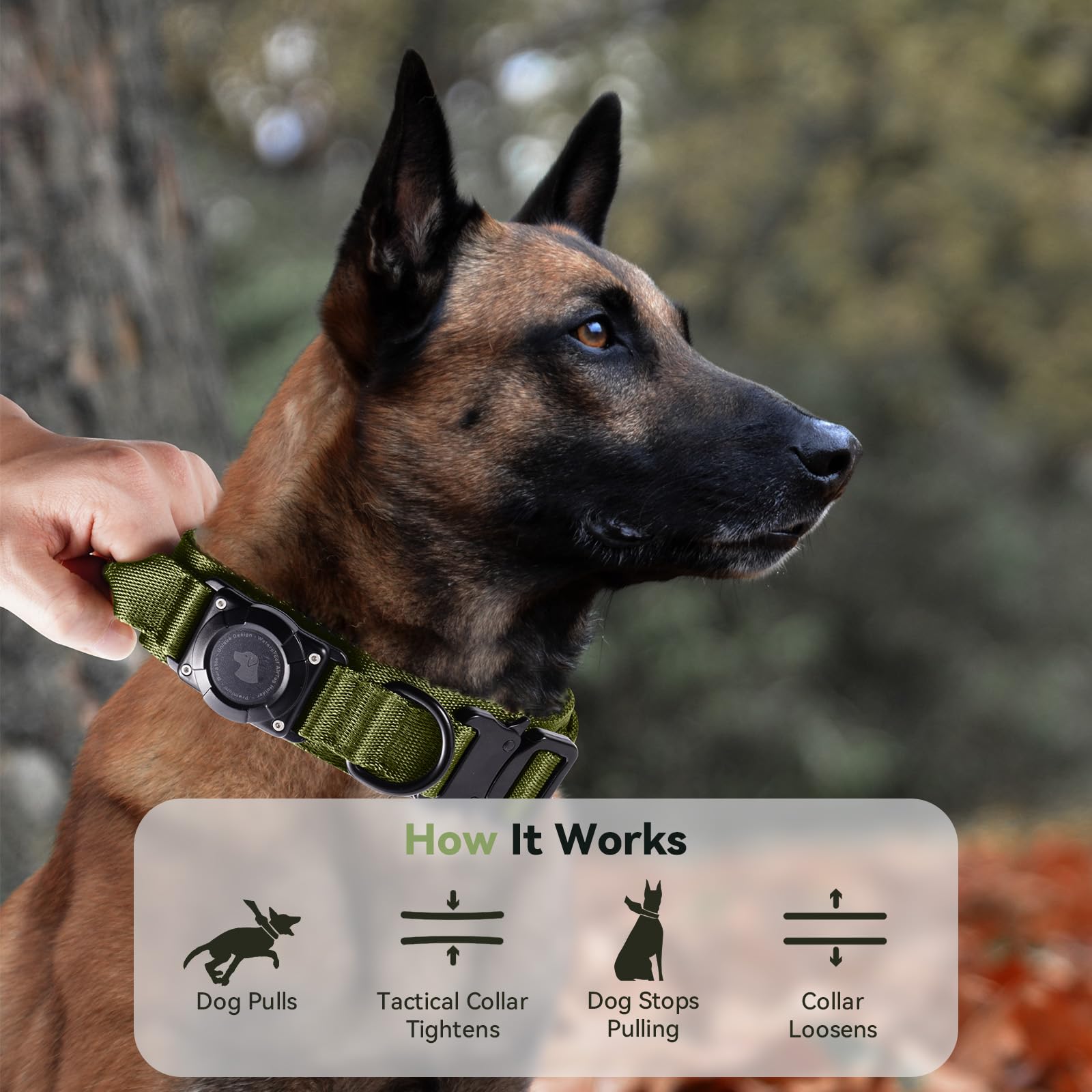 Odokele three-size range fits medium to large dogs.
