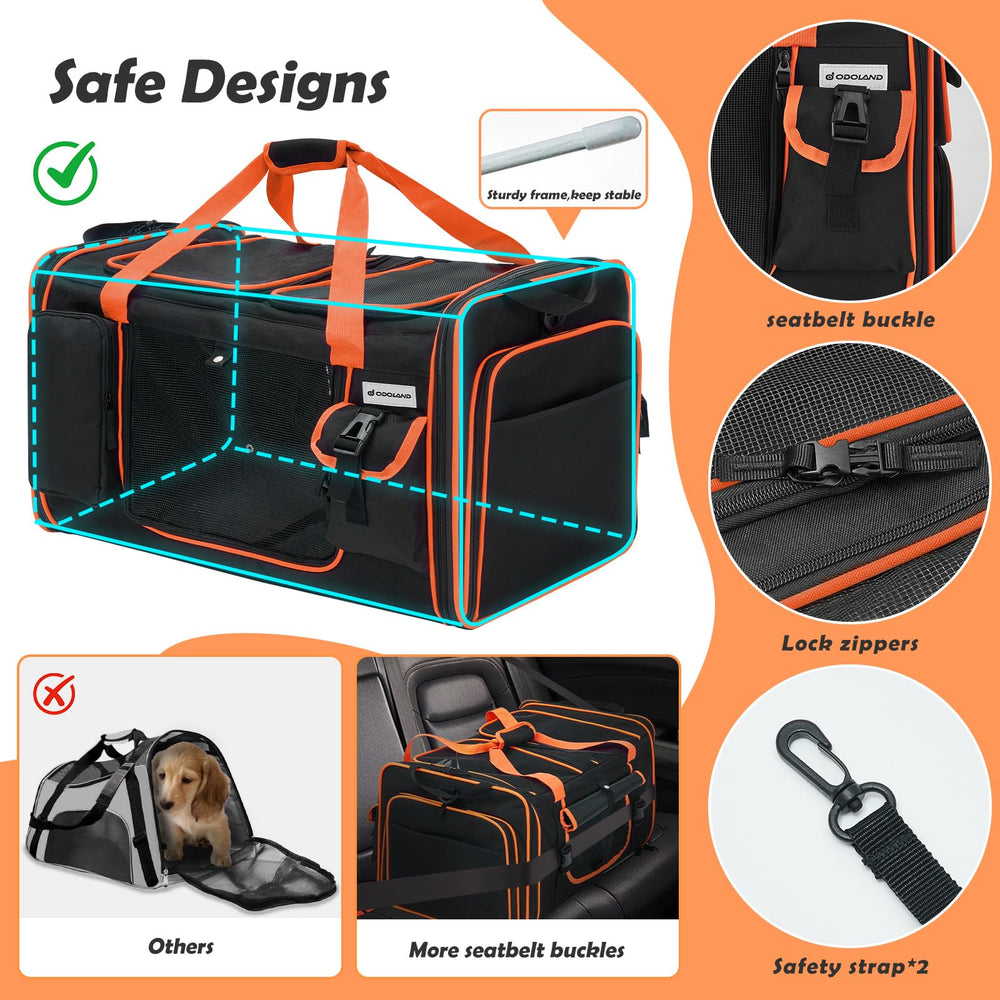 Odoland carrier with removable divider for two-cat travel