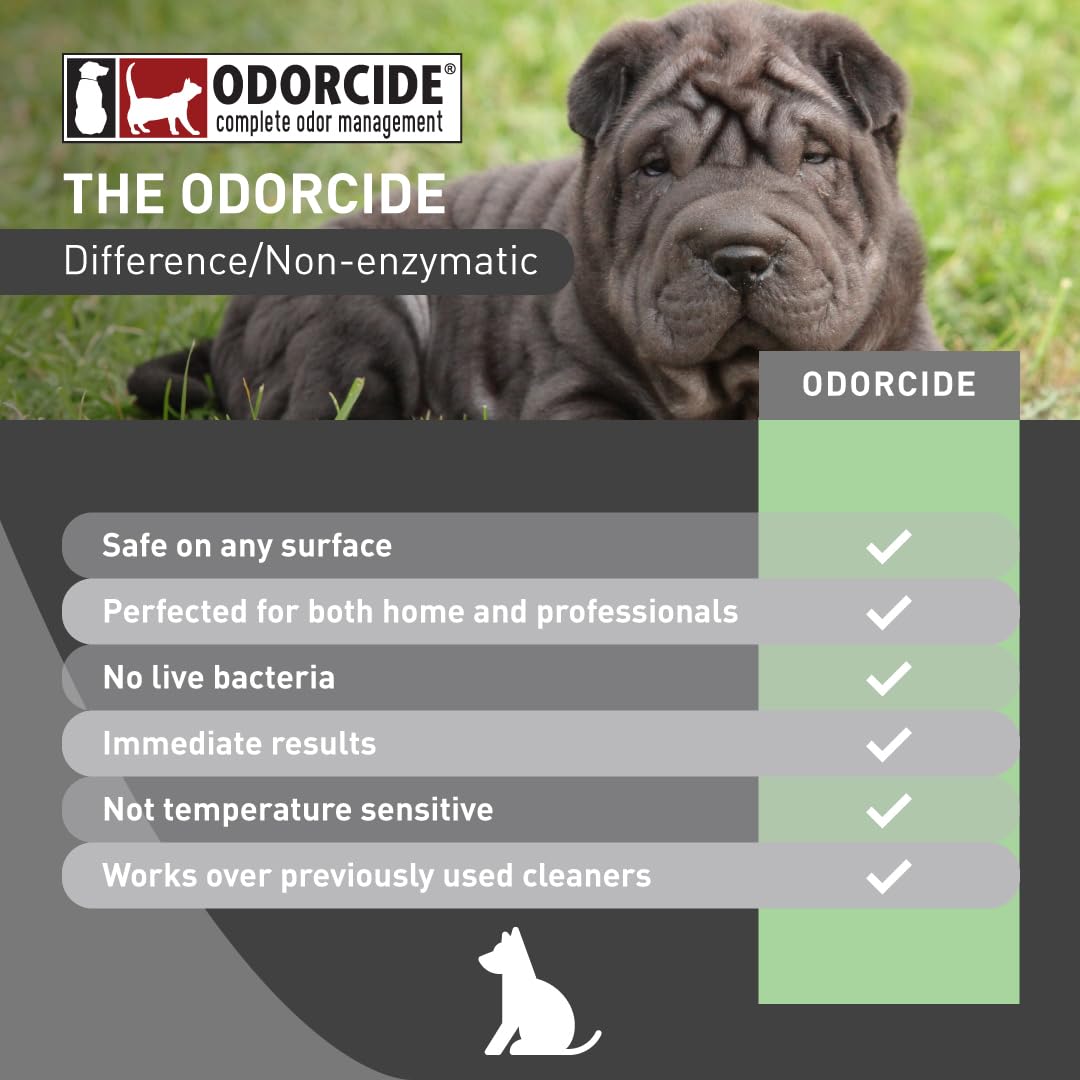 Odorcide 210 carpet application targets odors at the source.