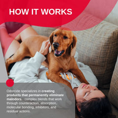 Non-enzymatic Odorcide 210 formula eliminates stubborn odors safely.