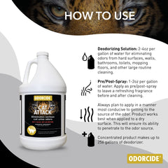 Odorcide Cat Attack applied to carpet targeting urine odors at the source.