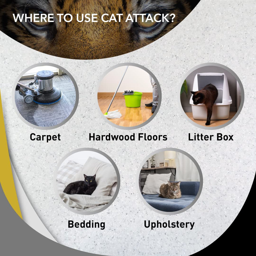 Odorcide Cat Attack spray on carpet to neutralize odors
