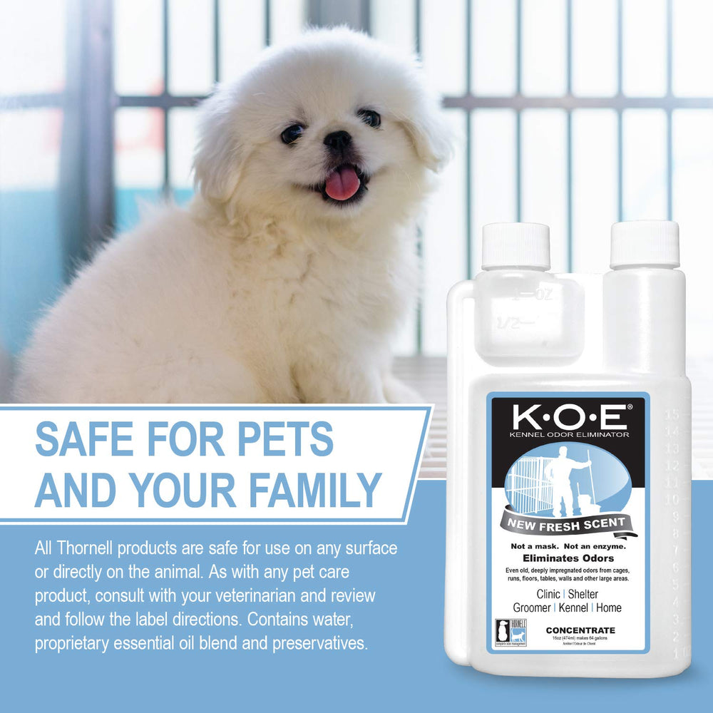 Odorcide K.O.E bottle demonstrates its use for large-area odor control with fresh scent