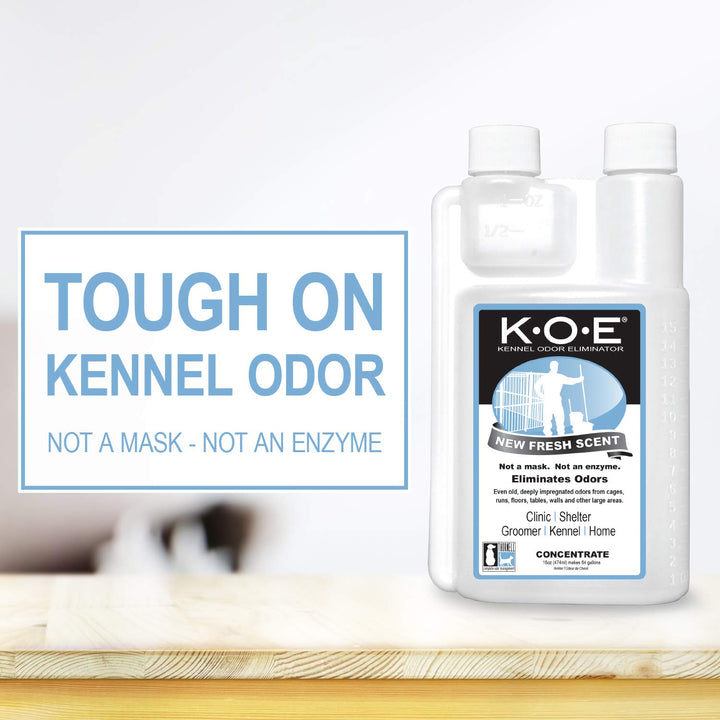 Odorcide K.O.E spray bottle targets pet odors for quick, effective control