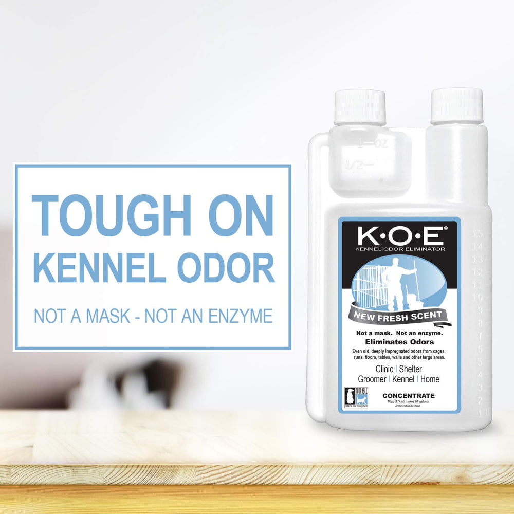 Odorcide K.O.E spray bottle targets pet odors for quick, effective control