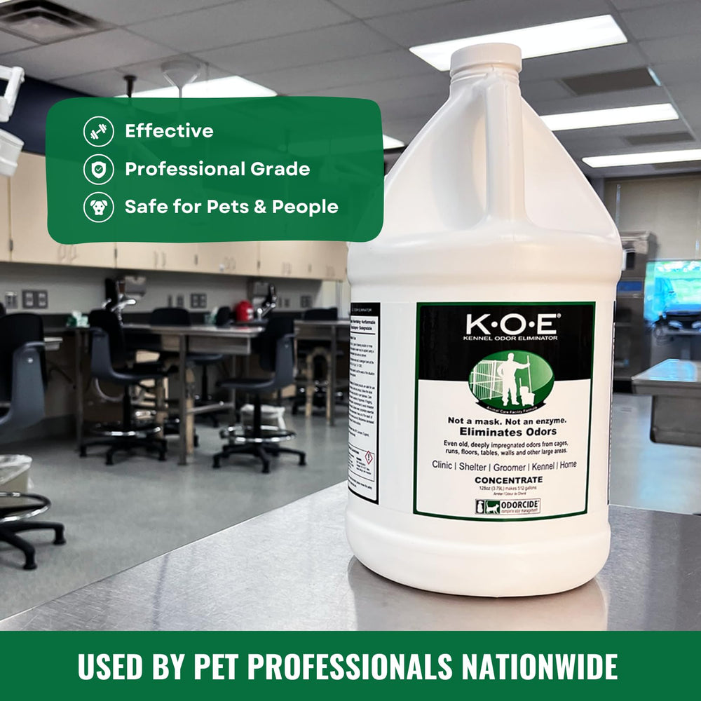 Odorcide KOE safe for pets and children on treated surfaces.