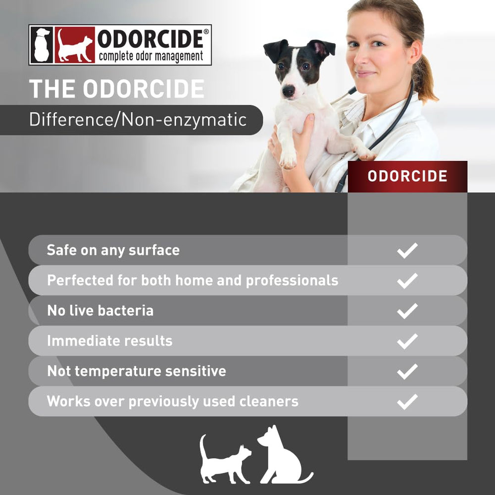 Treated area after Odorcide K.O.E application remains pet-friendly.