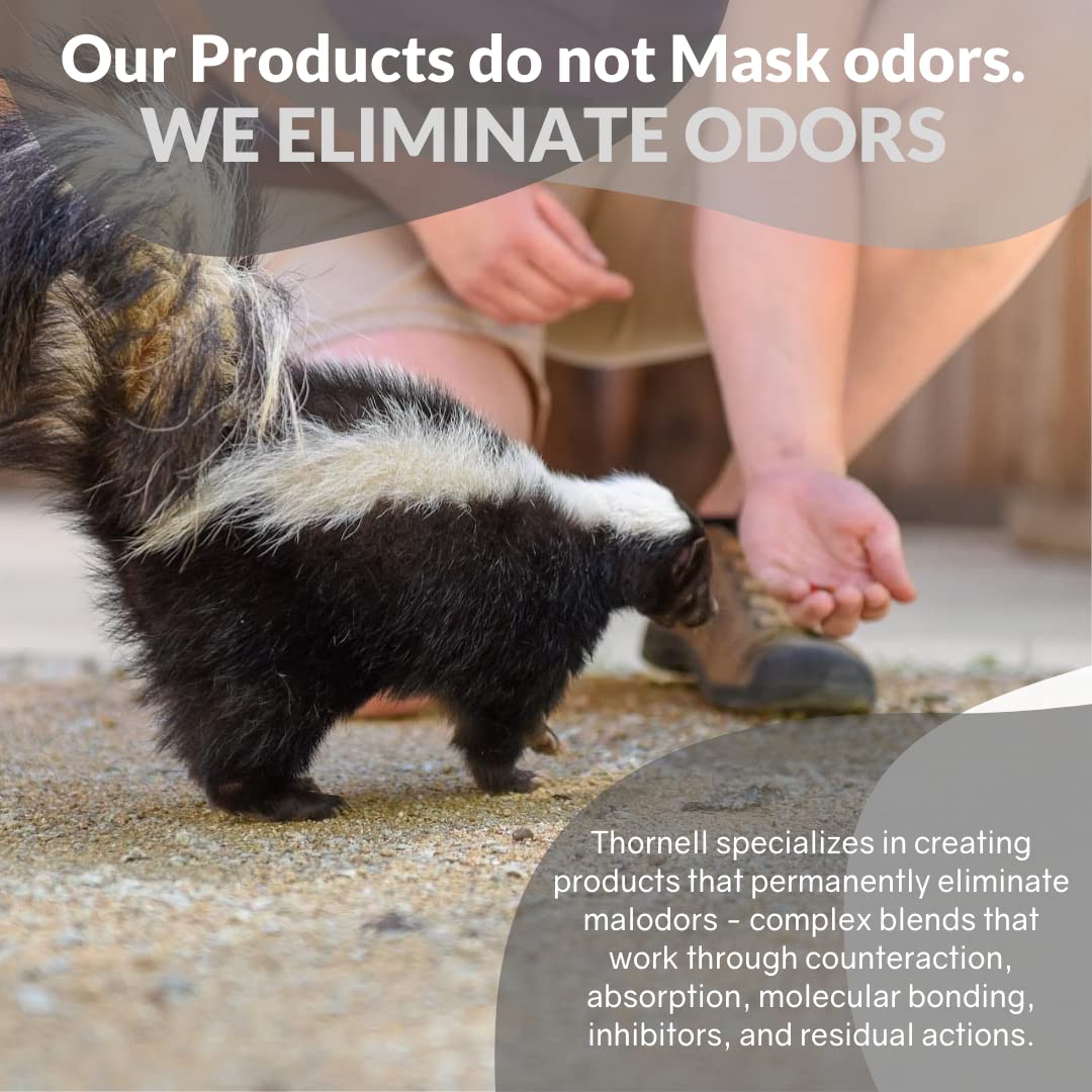 Odorcide Skunk Off on carpets and fabrics to refresh rooms