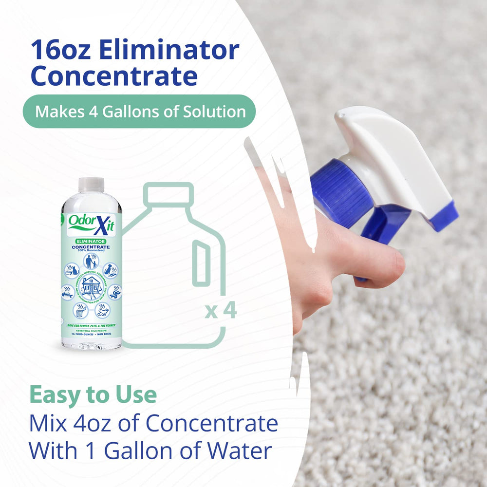 OdorXit active home odor control for busy households with pets.