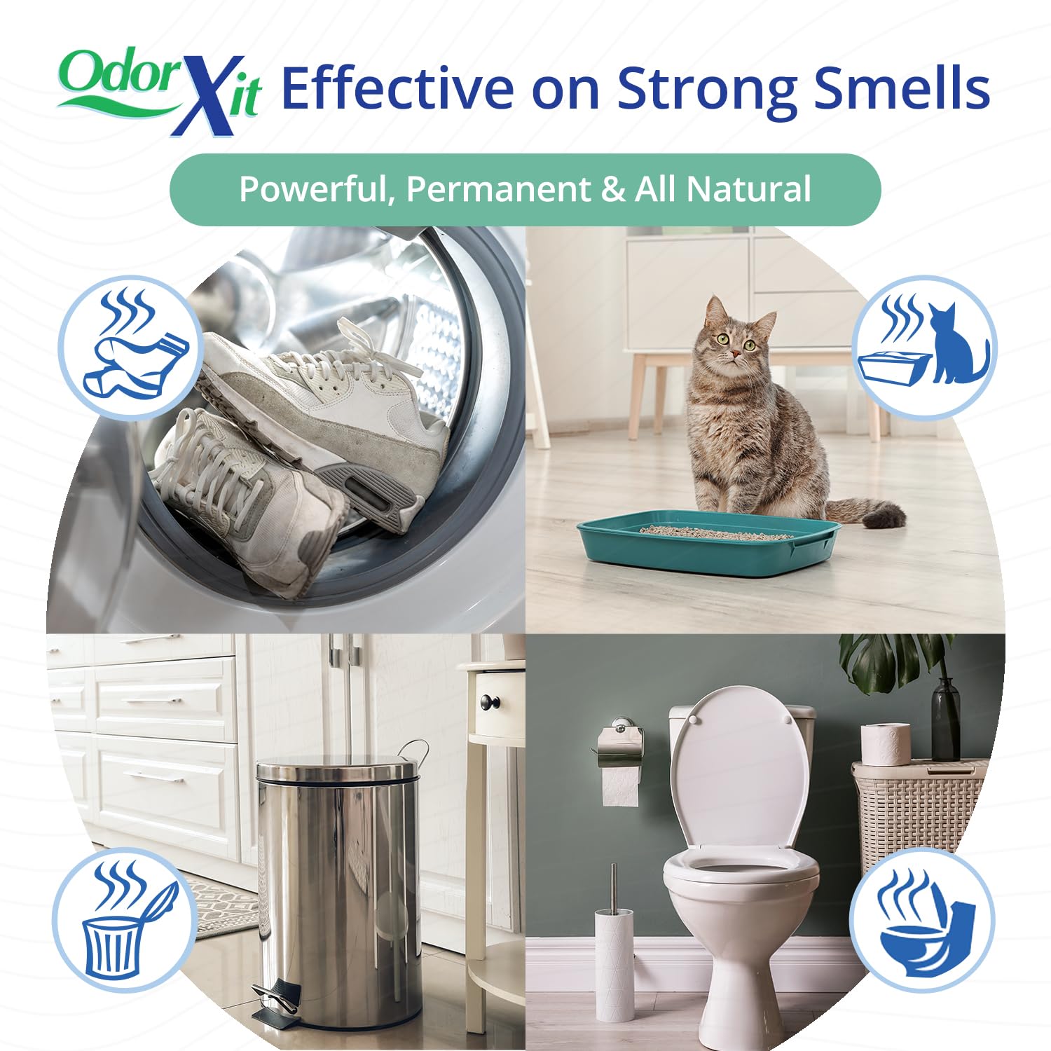 OdorXit deep-penetrating concentrate treated carpet fibers to neutralize embedded odors.
