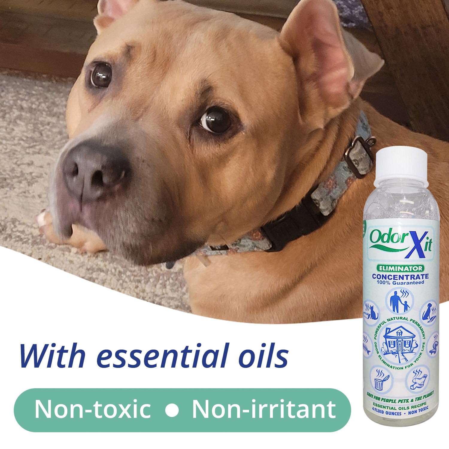 OdorXit targets grout and concrete for deep odor removal.