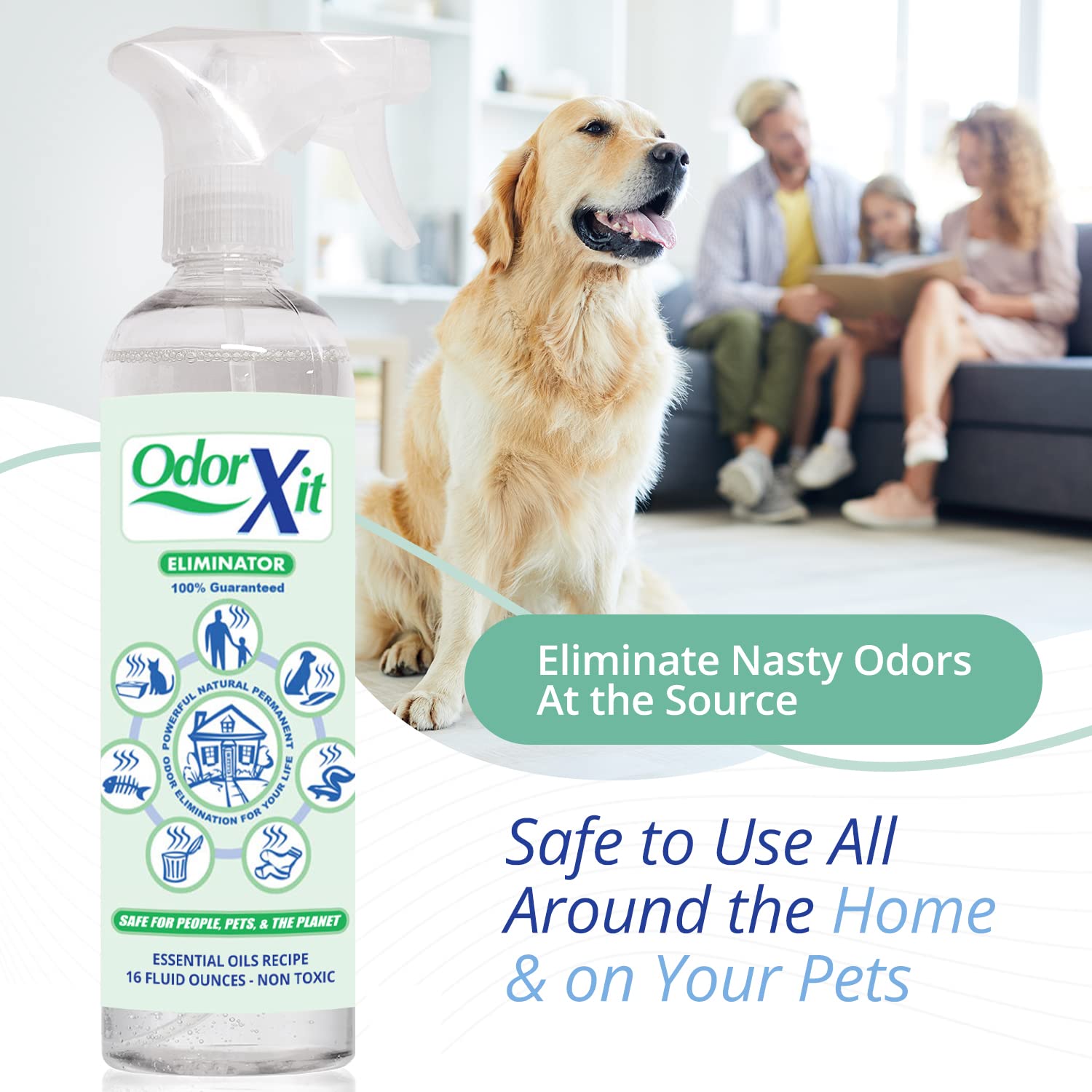 Spot-treatment on carpet with OdorXit for quick odor relief.