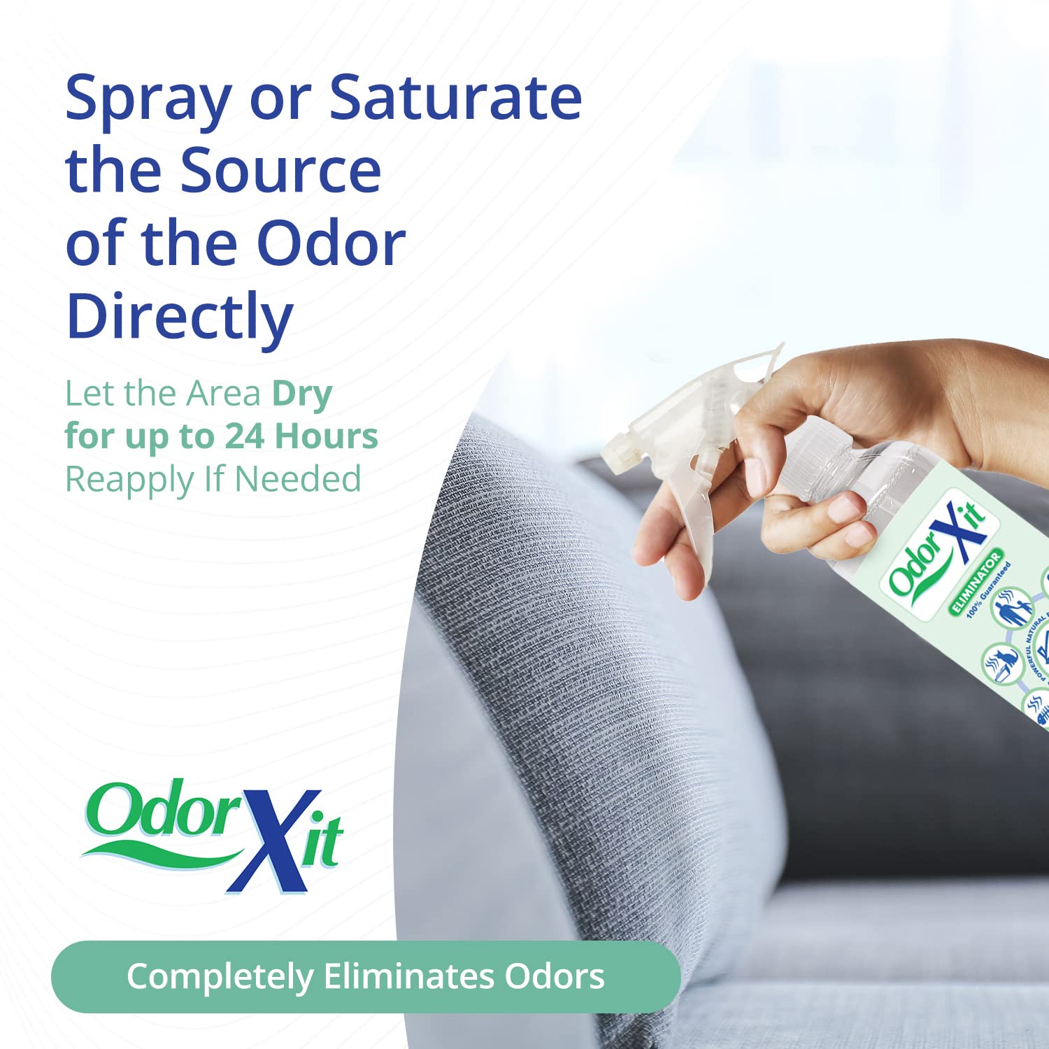 Vehicle interior treated with OdorXit to reduce pet smells.