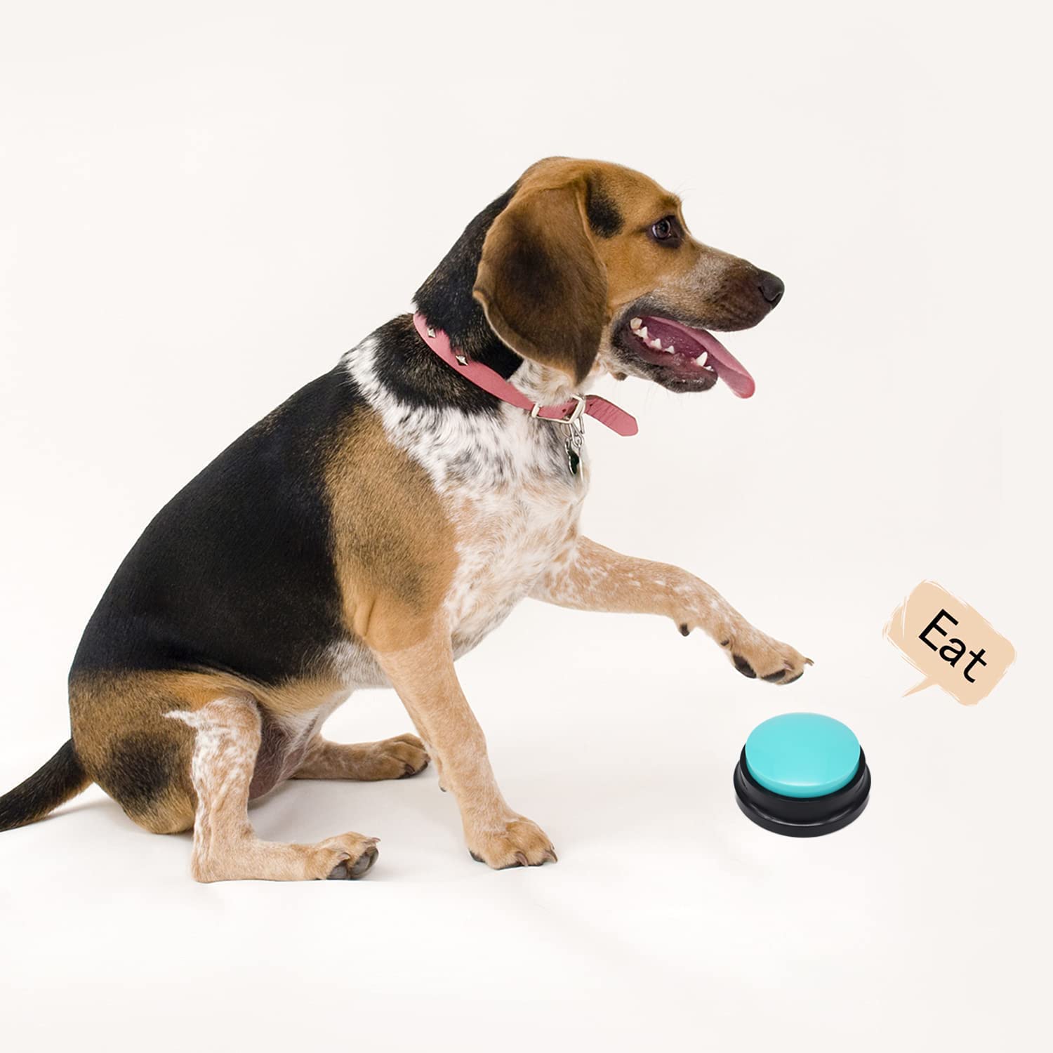 OFVENS pet training buzzer in use with dogs and cats.