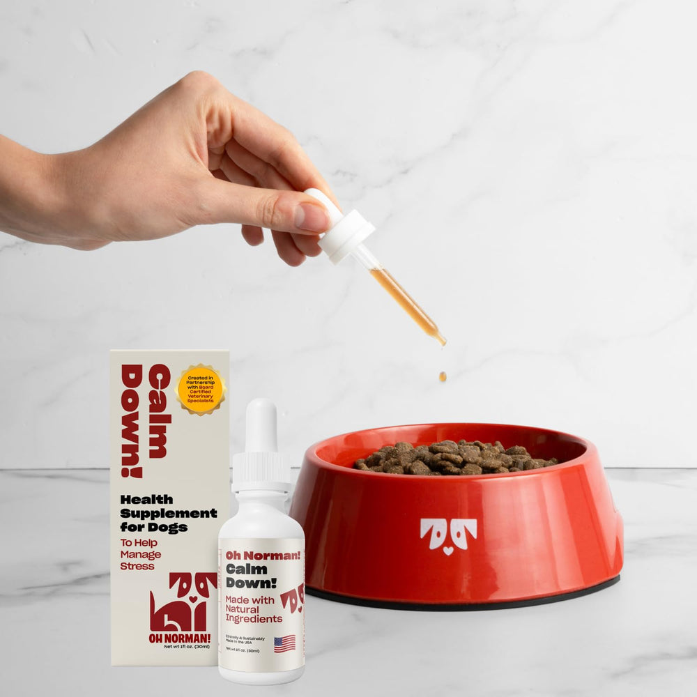 OH NORMAN! travel-ready calming aid setup for trips with dogs