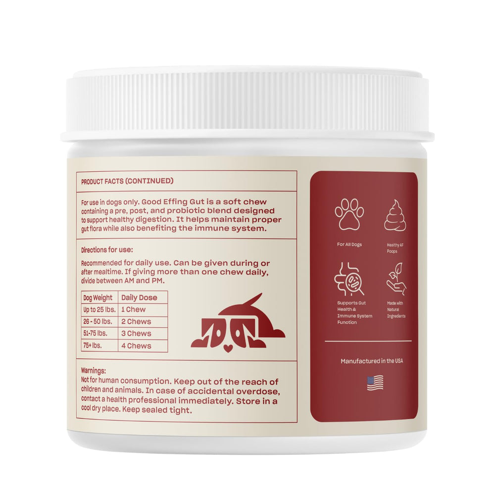 Senior dog wellness with Oh Norman! probiotic chews improving comfort and digestion.