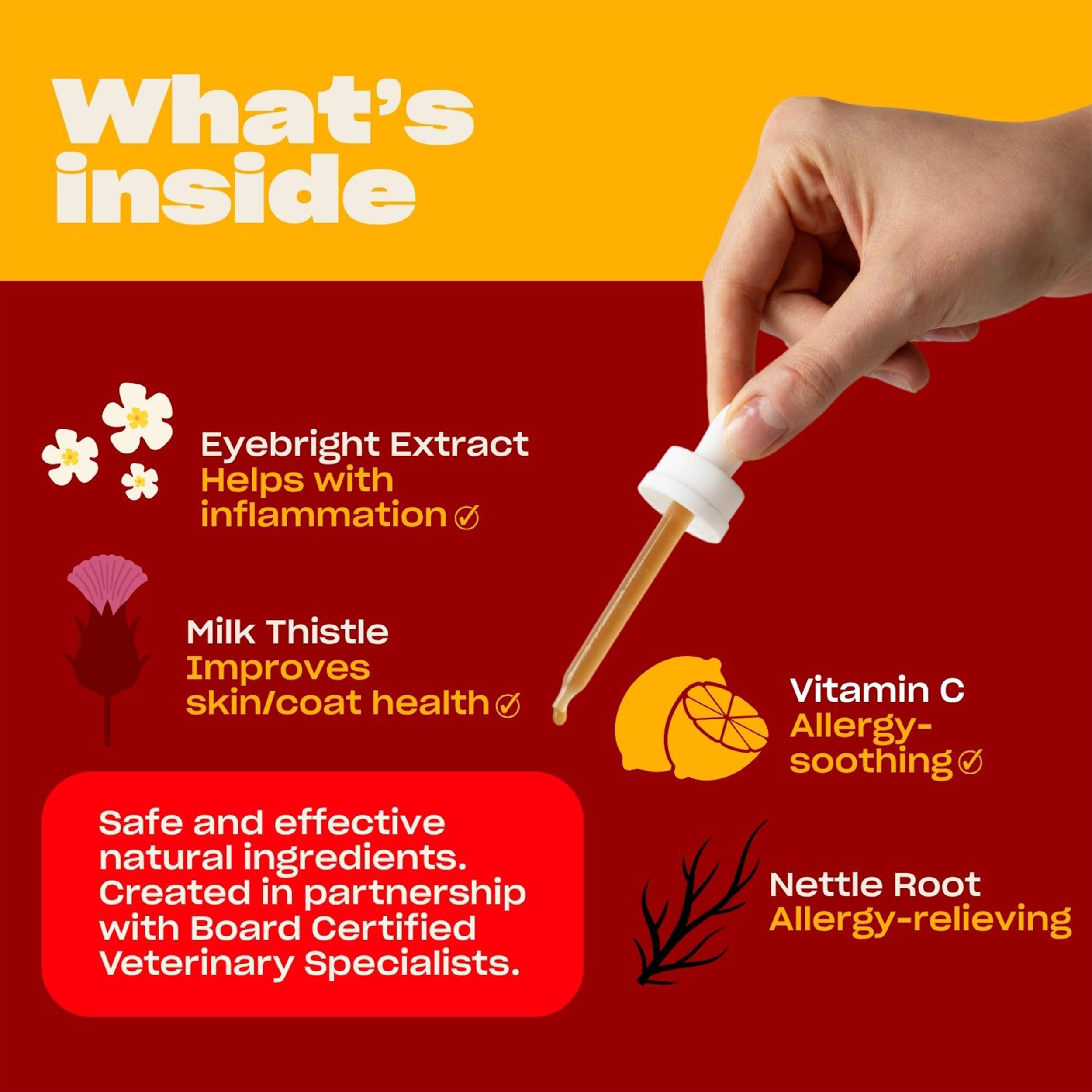OH NORMAN! Stop Itching dropper for easy daily dosing in dogs.