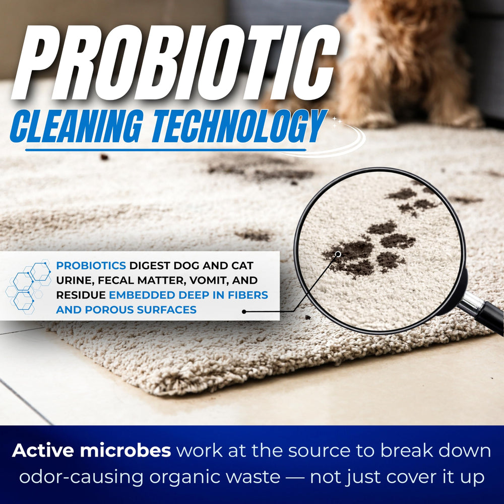 Oh Yuk Probiotics Pet Odor Eliminator spray application effectively tackles fresh messes.