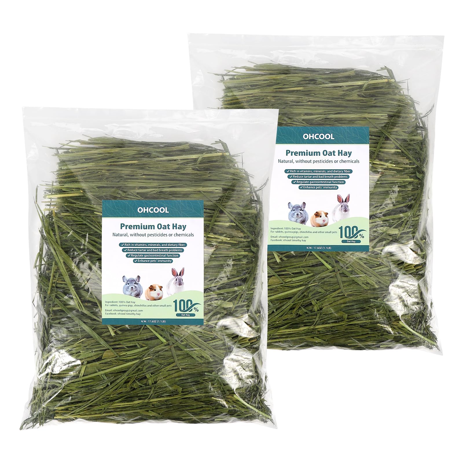 Close-up of vibrant green oat hay emphasizing natural freshness