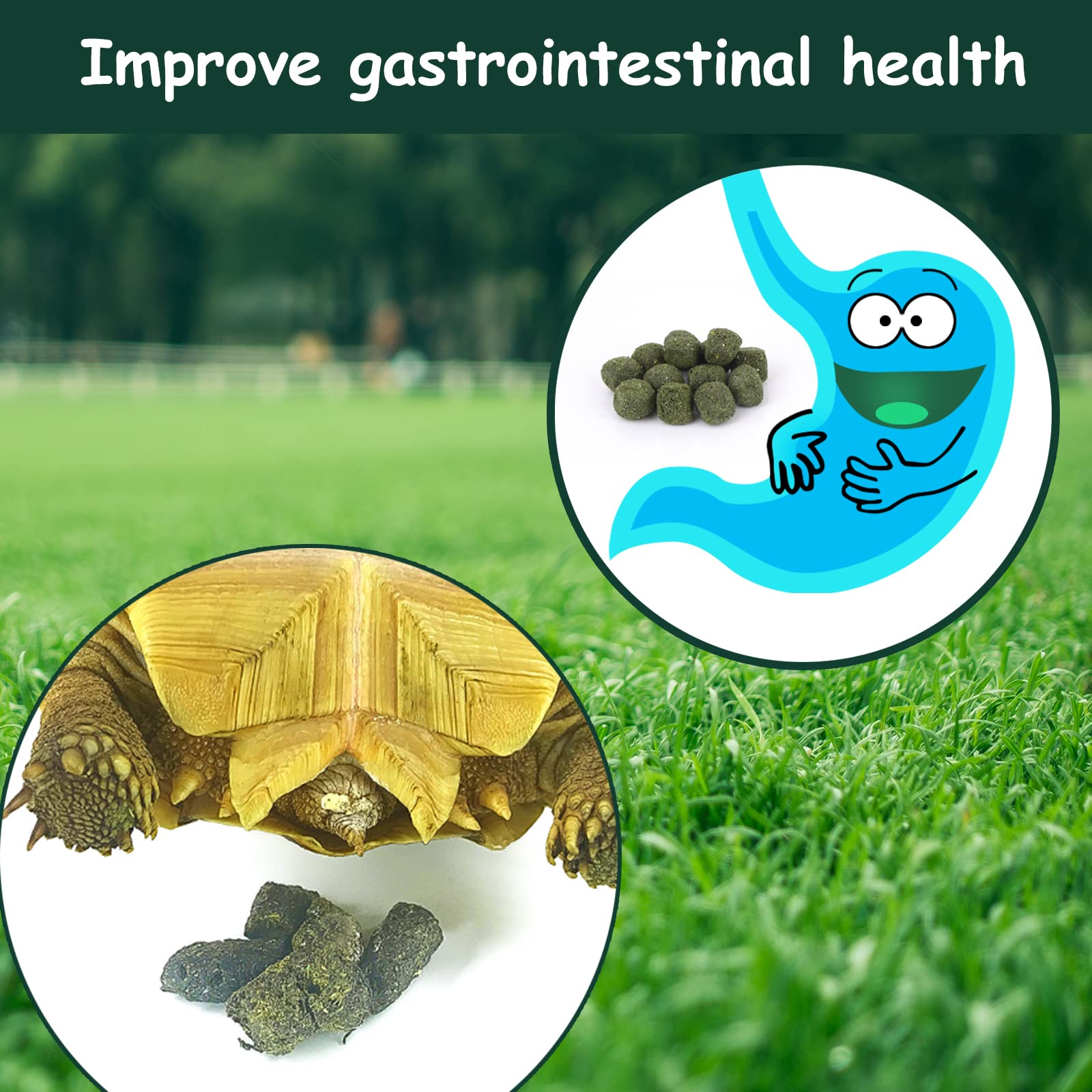 Ohcool Timothy Hay Cubes compact form supports nibbling and dental-friendly chewing.