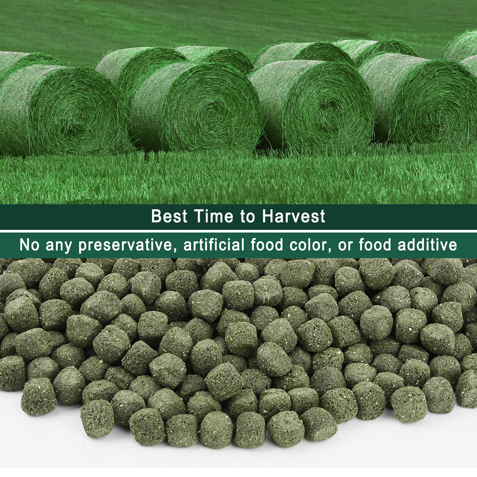 Ohcool Timothy Hay Cubes grainy texture closeup reveals chew-friendly surface.