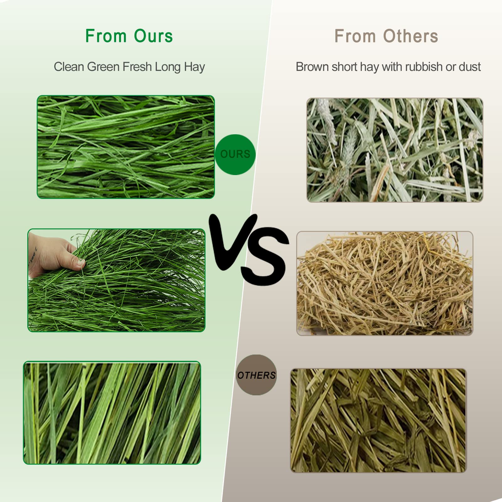 Ohcool Timothy Hay dust-free packaging reduces mess and allergens.