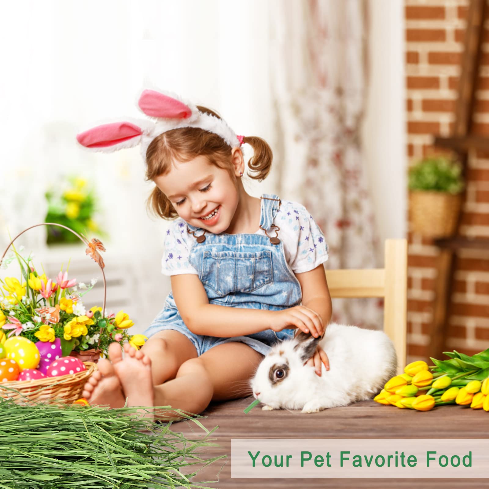 Ohcool Timothy Hay mountain-grown, natural nutrition for small pets.