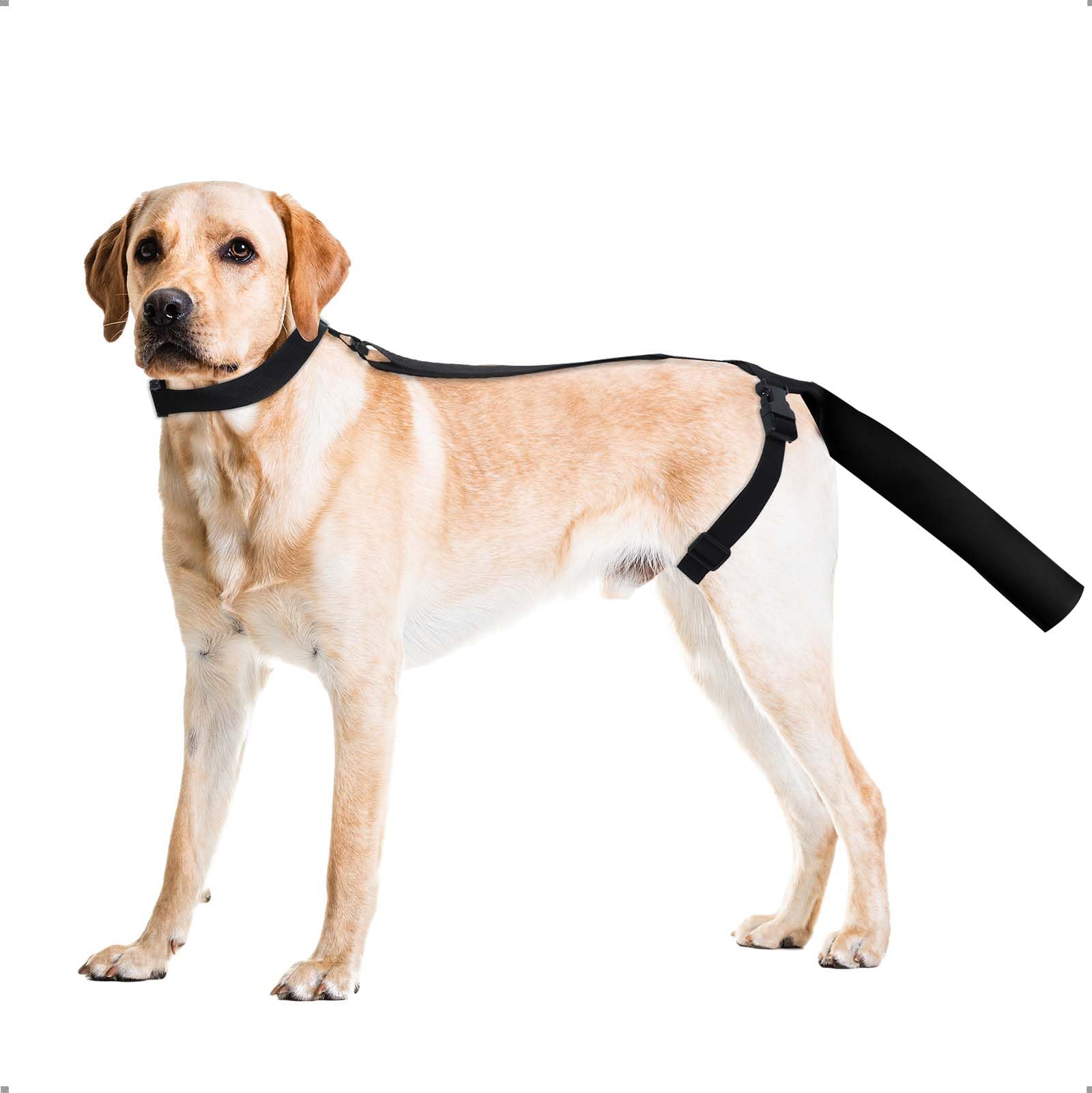 OHCOZZY dog tail protector with soft diving cloth for outdoor protection.