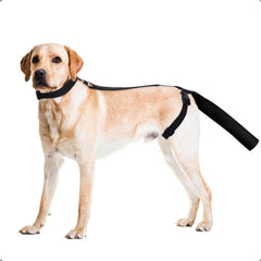 OHCOZZY dog tail protector with soft diving cloth for outdoor protection.