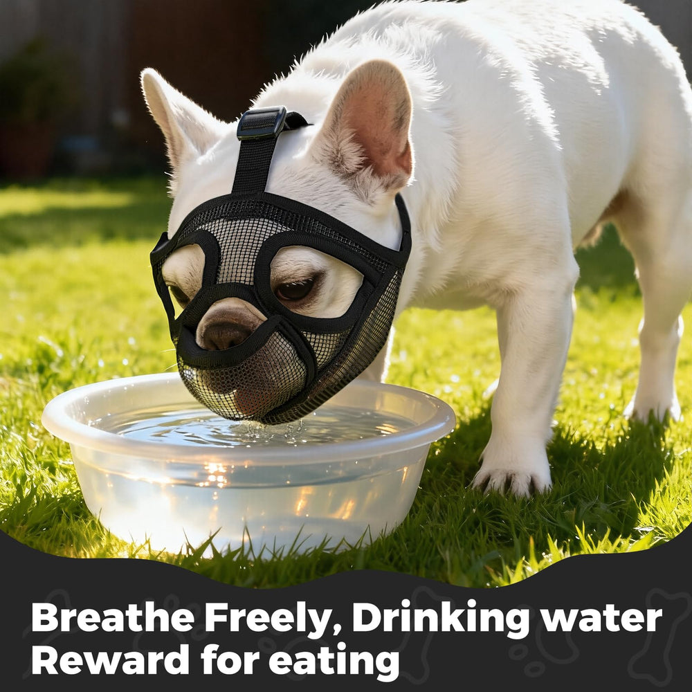 OHCOZZY Muzzle Eyeholes ensure clear sight and calm nerves.