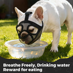 OHCOZZY muzzle with enlarged eyeholes for comfort and visibility.