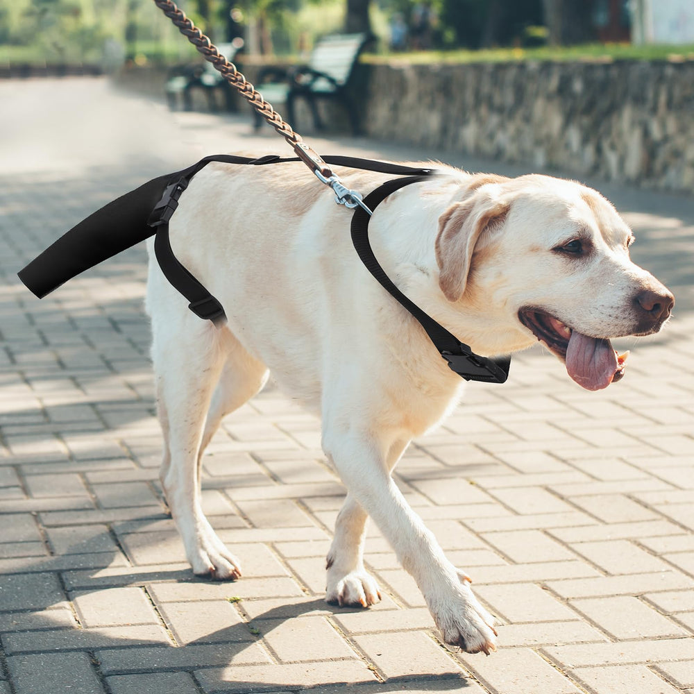 OHCOZZY size guide confirms fit for medium and large dogs.