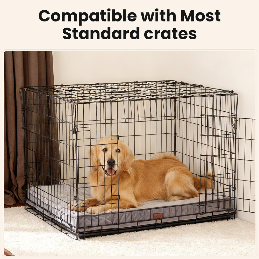 OhGeni memory foam bed in crate usage with large dog