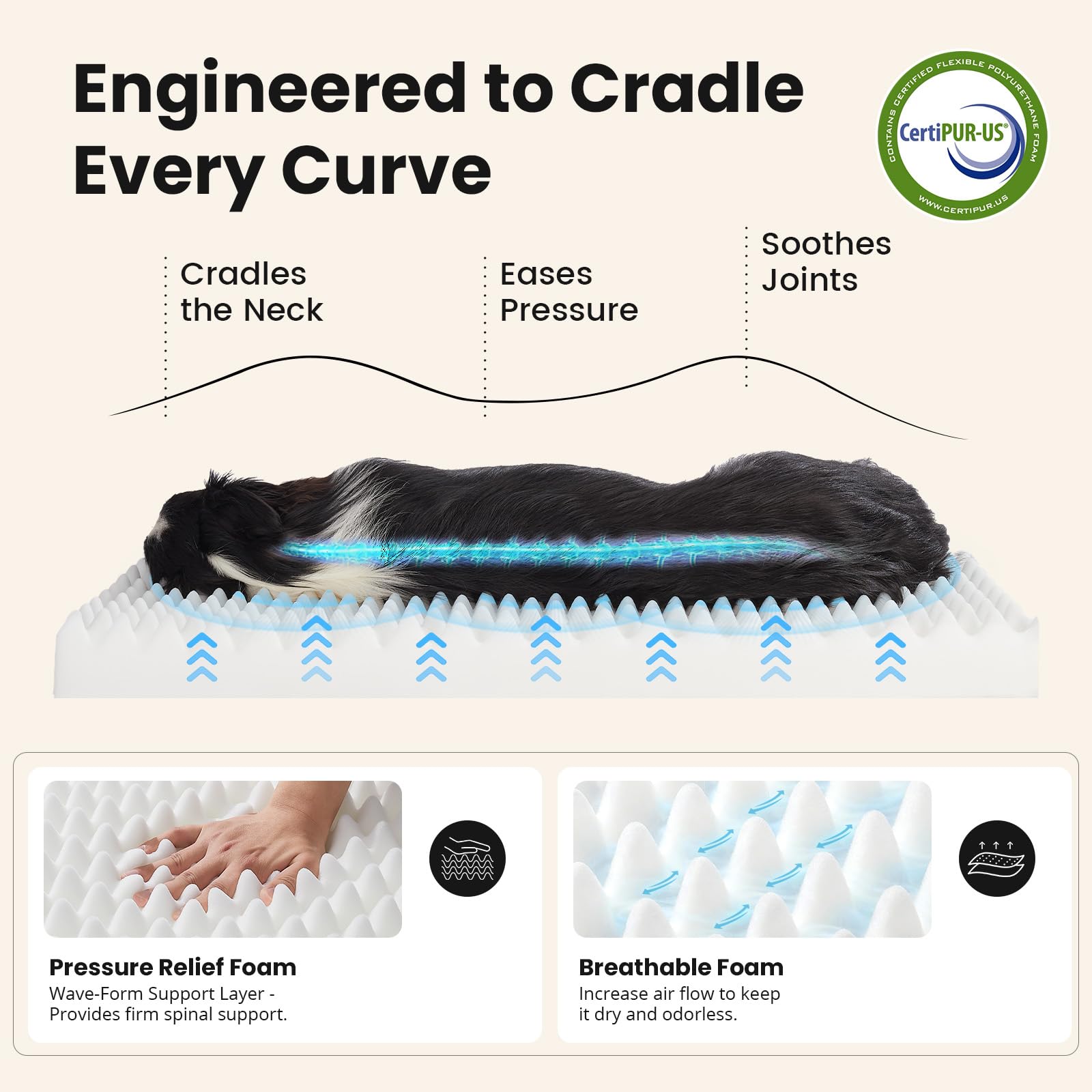 OhGeni reinforced stitching enhances durability for daily use.