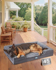 OhGeni orthopedic dog bed couch front view showing plush surface and bolsters for cozy rest.