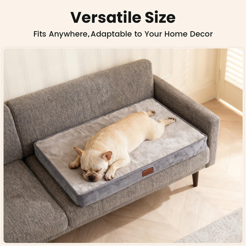 OhGeni orthopedic bed gray in-crate setup offers cozy, familiar rest.
