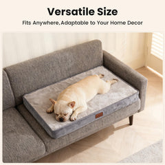 OhGeni orthopedic bed gray in-crate setup offers cozy, familiar rest.