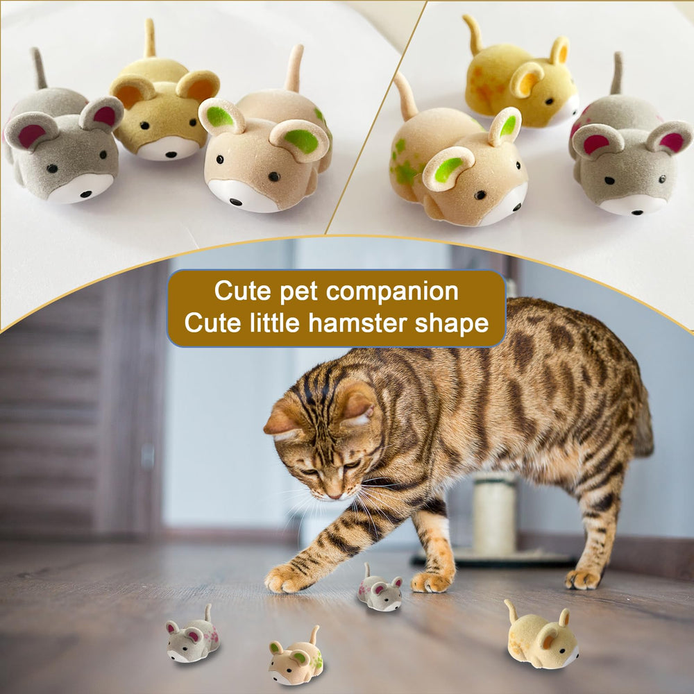 OHGOSH Cat teaser scene shows mouse-game fun for curious cats