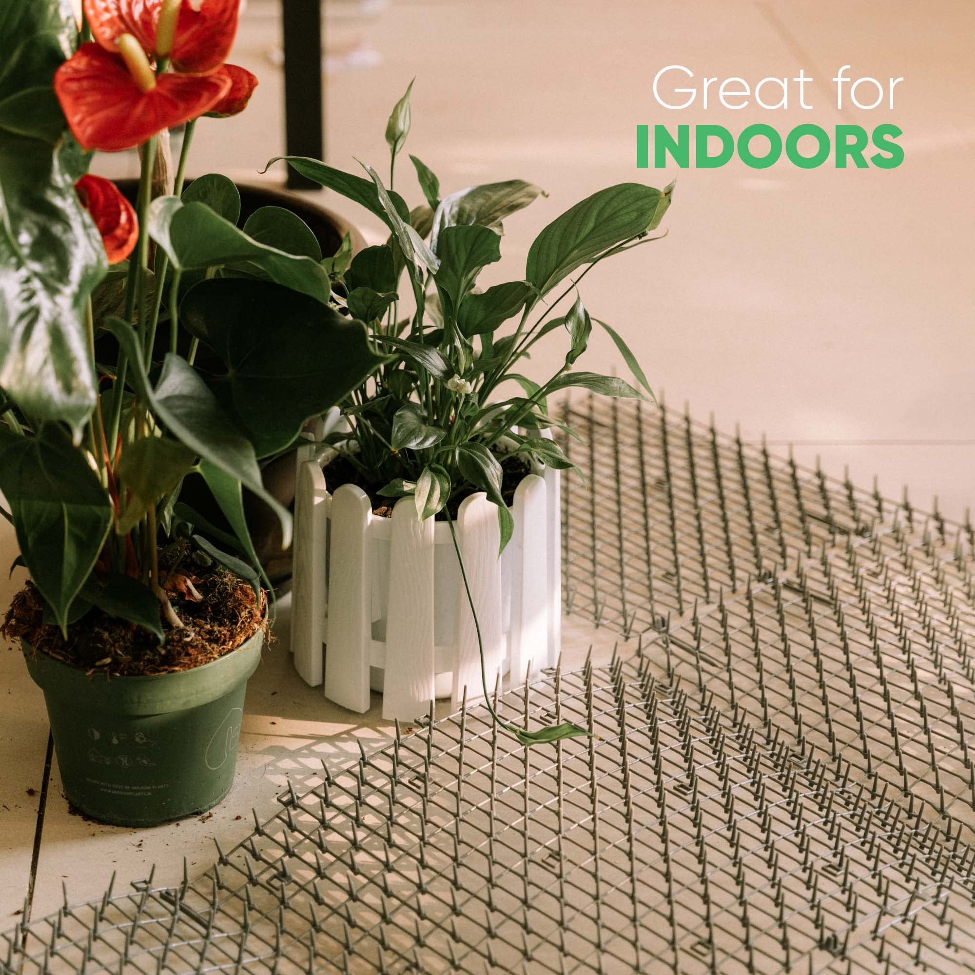Ohlela scat mat protects plants, countertops, and furniture in homes