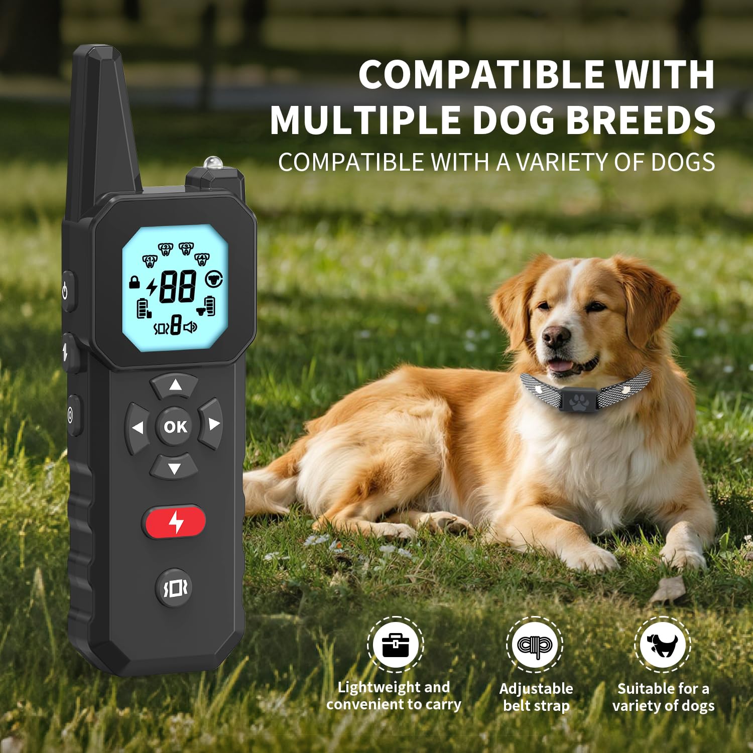 OHLOPL dual-dog channels with independent control enable customized training.