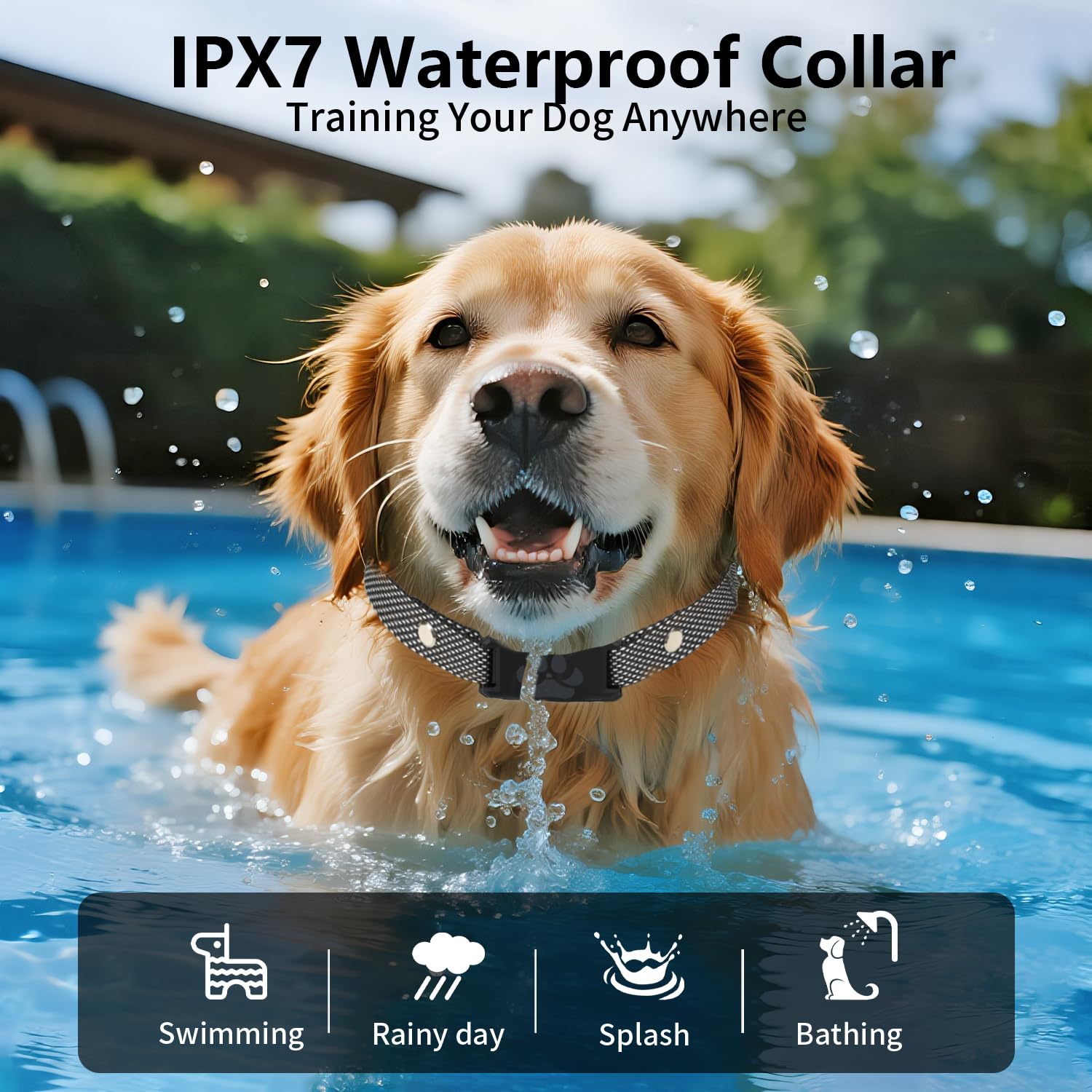 OHLOPL IPX7 waterproof collar ready for rain and outdoor training.