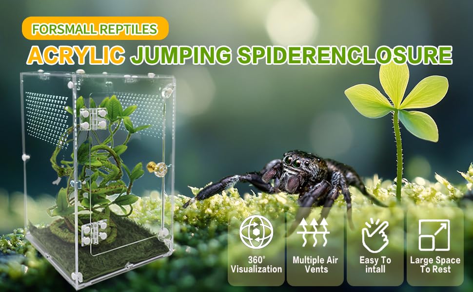 Oialonne jumping spider enclosure assembly guide for quick, DIY setup.
